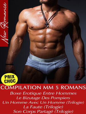 cover image of Compilation 5 Romans--Intégrale (Romances Gay)
